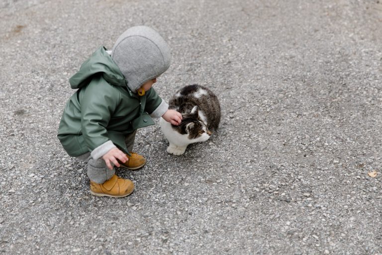 bébé qui carresse un chat