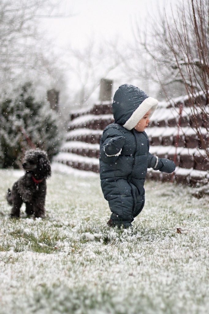 bébé et chien qui jouent sous la neige