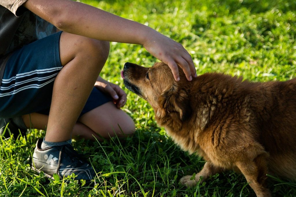 enfant qui carresse un chien